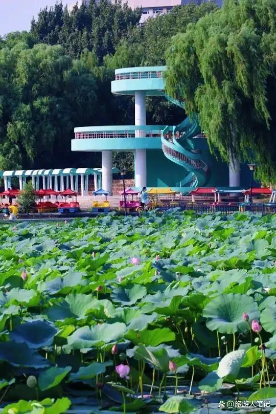 春游沈阳,踏青8大去处,不管你去哪一个,都能撞见沈阳春天最动人的样子