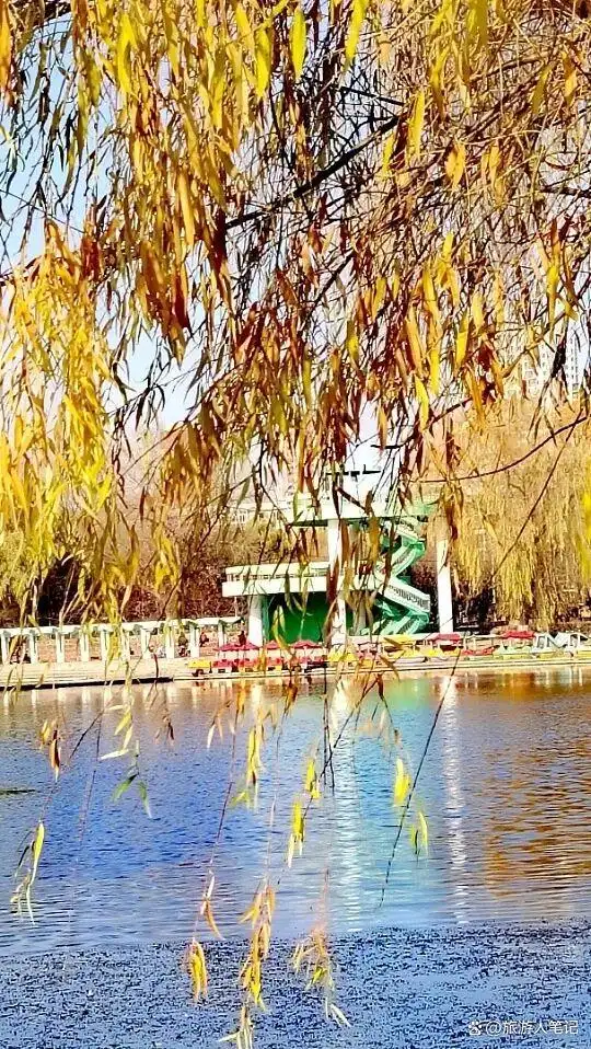 春游沈阳,踏青8大去处,不管你去哪一个,都能撞见沈阳春天最动人的样子