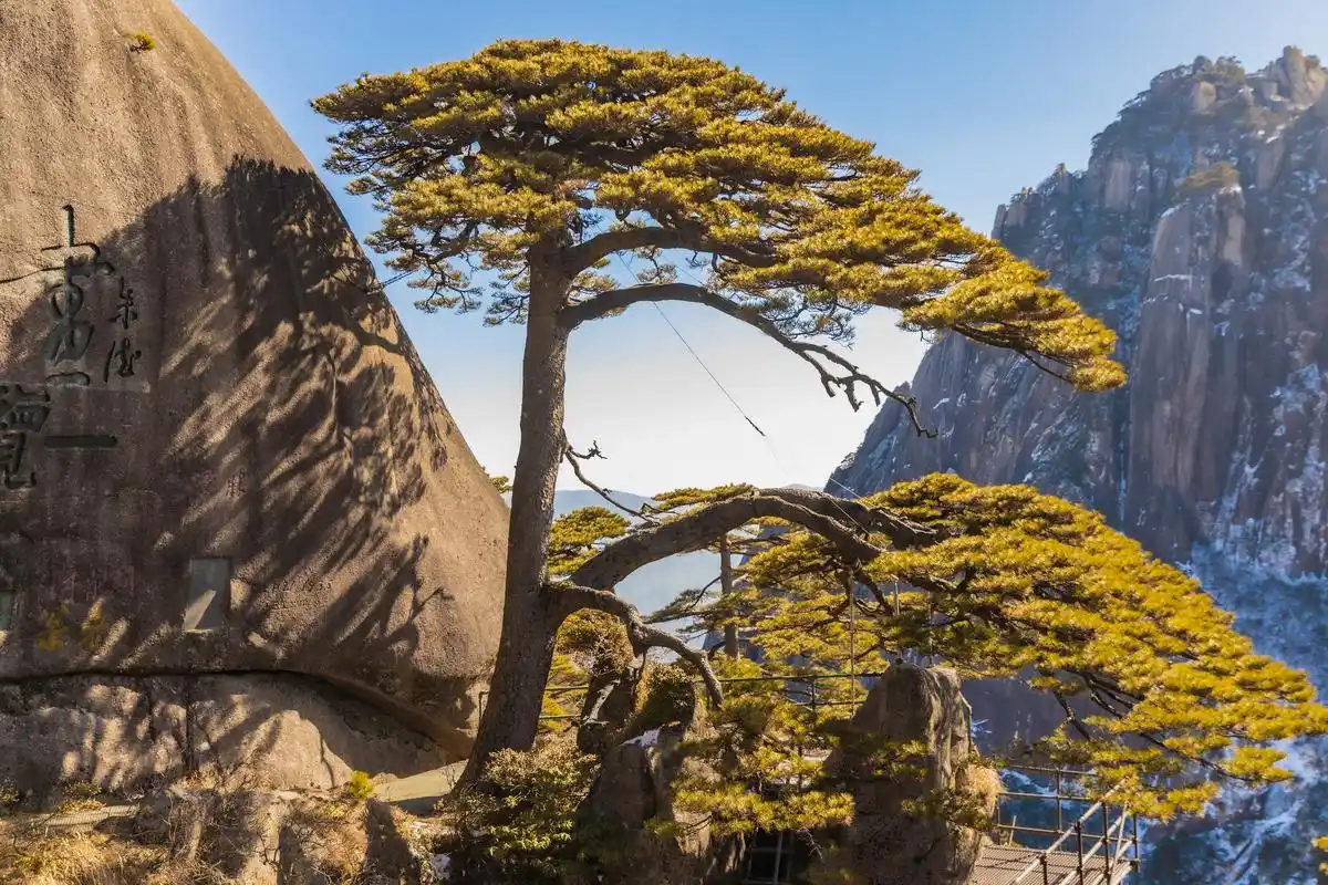 中国一生必去的十大名胜古迹，你去过几个