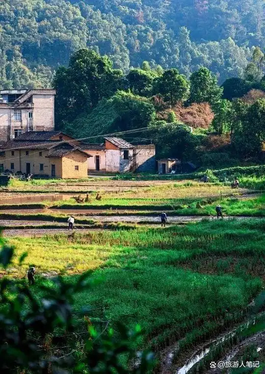 清明后，出发！8条绝美自驾路，带你去追今年第一捧春光