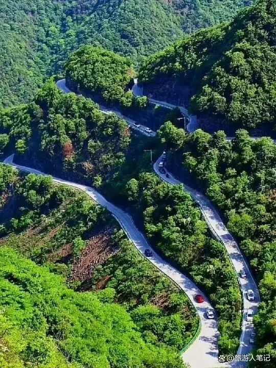 清明后，出发！8条绝美自驾路，带你去追今年第一捧春光