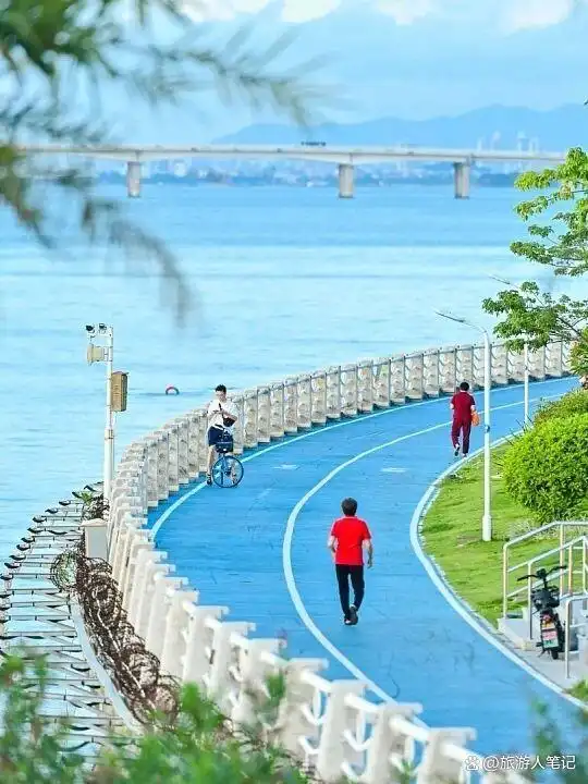 清明后，出发！8条绝美自驾路，带你去追今年第一捧春光