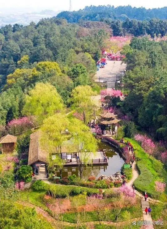 清明后，出发！8条绝美自驾路，带你去追今年第一捧春光