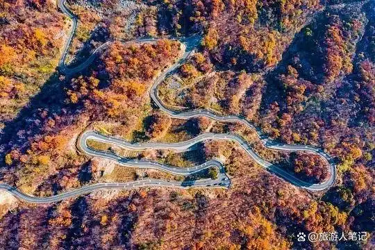 清明后，出发！8条绝美自驾路，带你去追今年第一捧春光