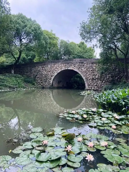 在跨湖桥遗址中，一个比华夏文明起点还早3000年的秘密，这座遗址，距今8000年！