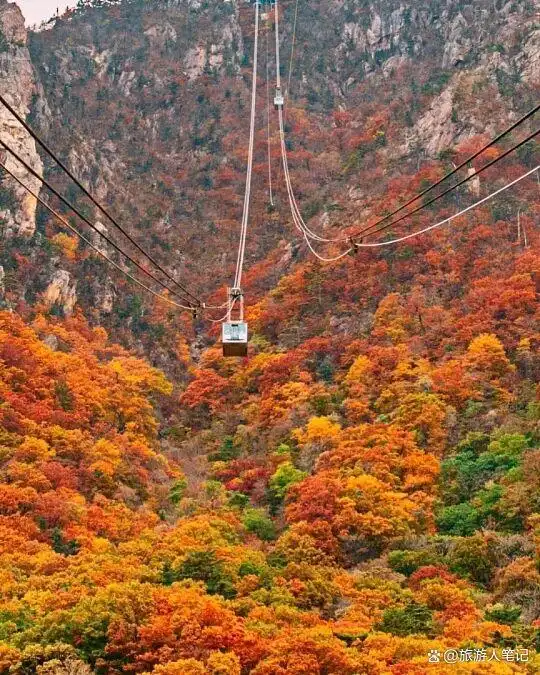 只有韩国本地人才知道的10大秘密，我在首尔住了三个月，终于看懂了，不是什么惊天动地的大发现，但每一条，都是你翻遍攻略也找不到的