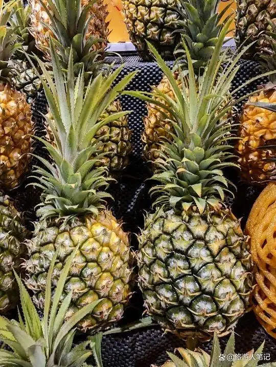 贵的不叫凤梨，菠萝是什么？100个人的疑问，今天一次说清楚