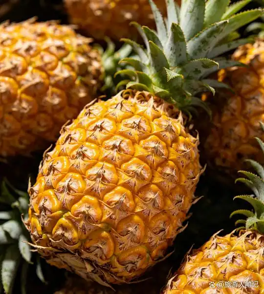 贵的不叫凤梨，菠萝是什么？100个人的疑问，今天一次说清楚