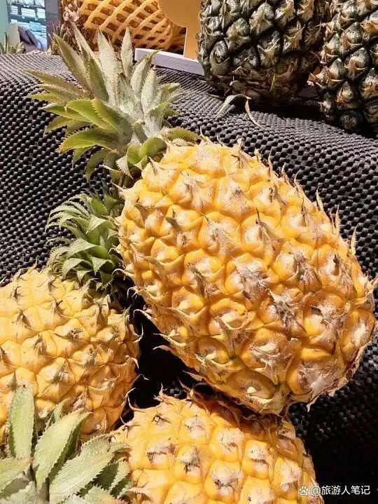 贵的不叫凤梨，菠萝是什么？100个人的疑问，今天一次说清楚