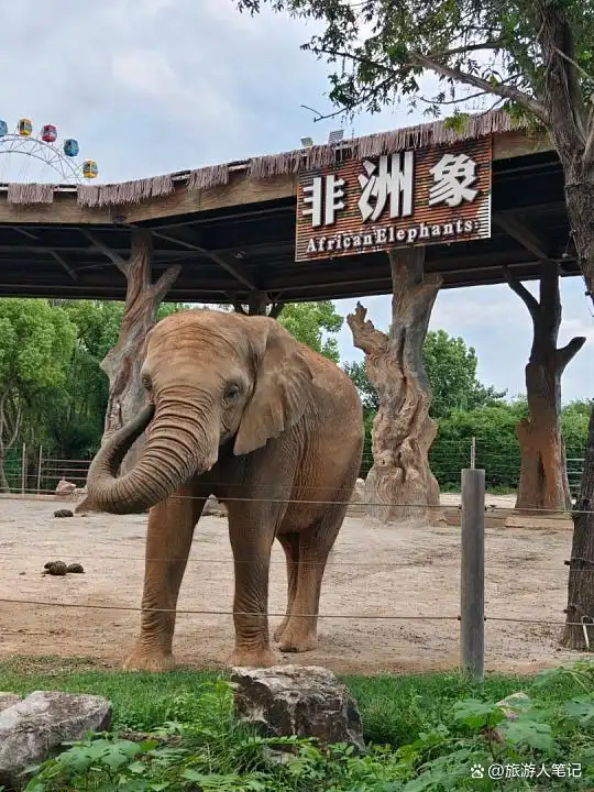 2026中国十大动物园排行榜出炉!如果你今年有带孩子出游的计划,这篇建议先收藏