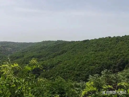到了夏天,总想找个地方躲一躲热浪,不去秦岭了,陕甘宁交界这座小城,才是夏天最值得常住的人间净土