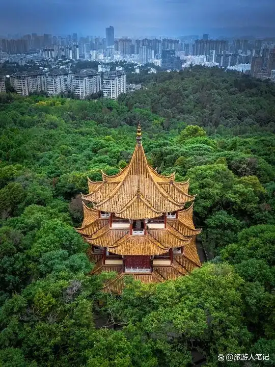 告别 40℃烤炉!国内 5 座天然凉城,空调几乎摆设,本地人直言太舒服,三伏天睡觉要盖薄被