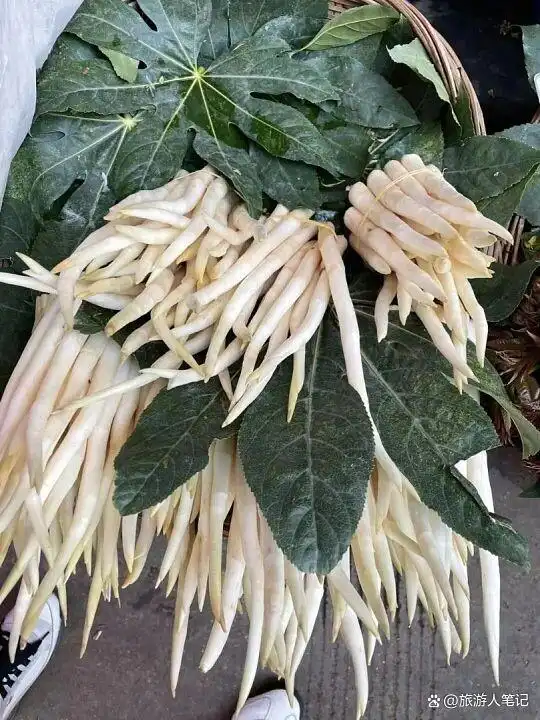 8种天外蔬菜,全世界只有云南独有!外地人见都没见过,本地人年年必吃,老天爷单独给它开了美食特权