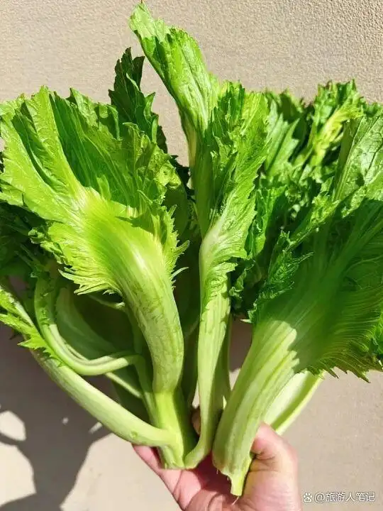 8种天外蔬菜,全世界只有云南独有!外地人见都没见过,本地人年年必吃,老天爷单独给它开了美食特权