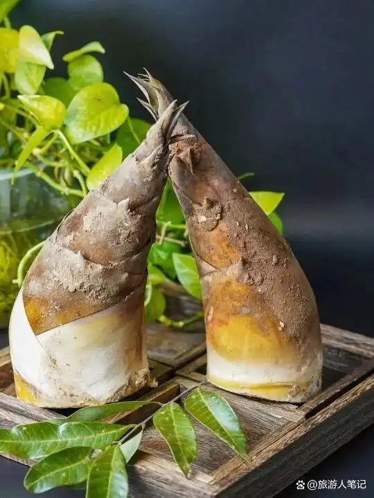 8种天外蔬菜,全世界只有云南独有!外地人见都没见过,本地人年年必吃,老天爷单独给它开了美食特权