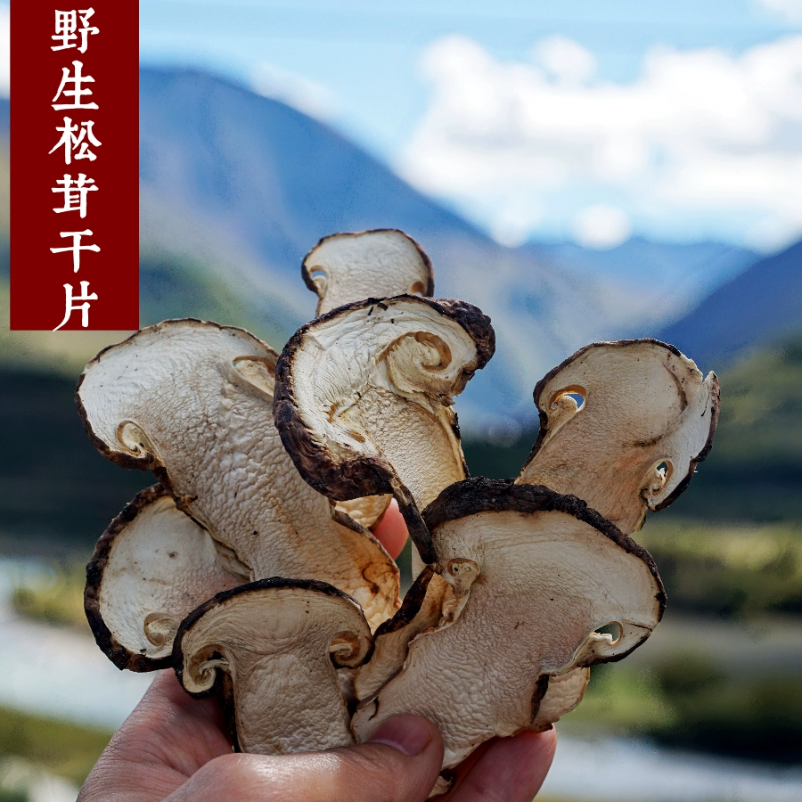 川西小环线5天自驾:我放弃赶路,在新都桥多住一晚,才读懂川西