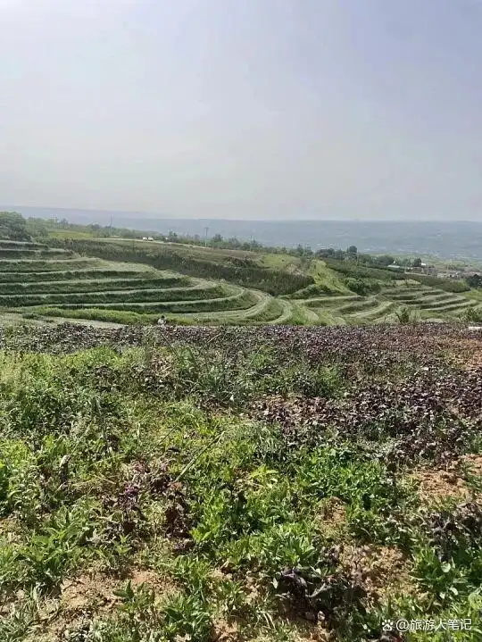 一部《主角》，让陕西这几个犄角旮旯火成了春节！这些同款取景地藏着最地道的人间烟火
