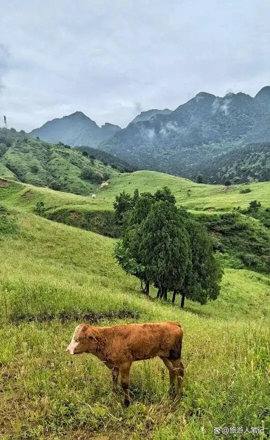 一部《主角》，让陕西这几个犄角旮旯火成了春节！这些同款取景地藏着最地道的人间烟火