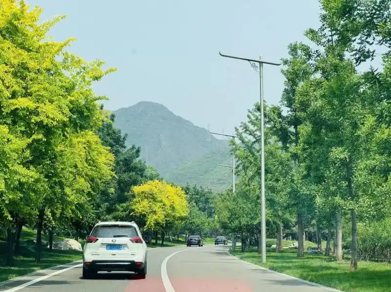 暑期自驾游高峰将至 国内乌鲁木齐成都等地热门