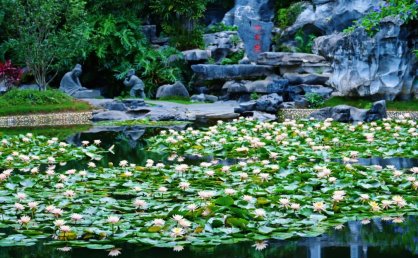 重阳节登高正当时！广西这些赏秋地，视野绝了！