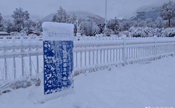 降雪连连！青海今天部分地区有大到暴雪 西宁或现今冬初雪