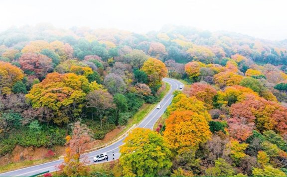 “广元不远、周末优选”变为越来越多人的心之所向