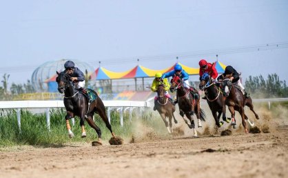 一匹赛马的“自由行”