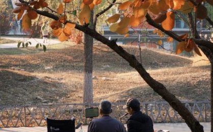 太原：晴好天气带火“周末游”