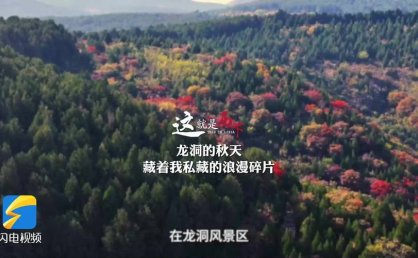 中方决定恢复旅行社经营中国公民赴加拿大团队游业务