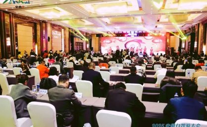 2025安徽自驾游大会成功举办