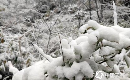 寒潮发威！今天河南雨雪大风降温齐袭 明后天以晴为主气温升