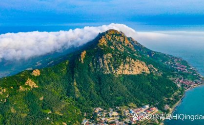 全市唯一！灵山岛保护区案例入选全省典型