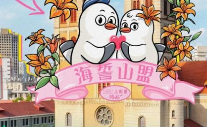 海鸥季观“鸥”专属路线来了