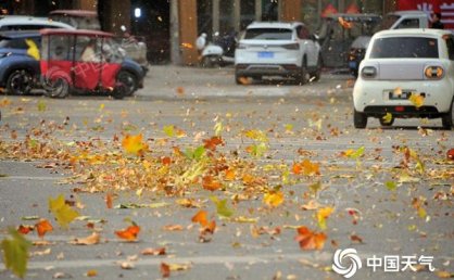 河南今明天将迎大风降温沙尘 中西部阵风可达9到10级