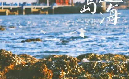 青岛旅游暑期档热度持续攀升——清凉海滨 “热”气腾腾