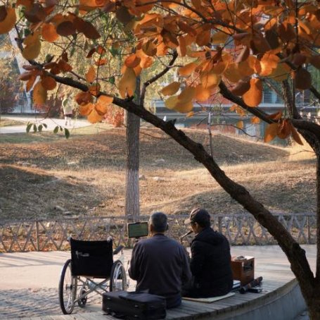 太原：晴好天气带火“周末游”