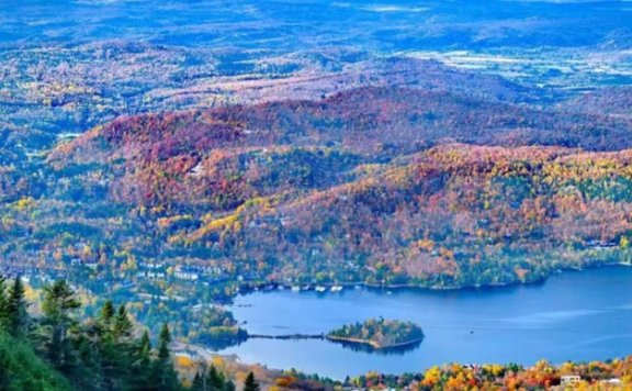 出境游再添新选择！加拿大团队游重启，还有一个瑞典免签“礼包”