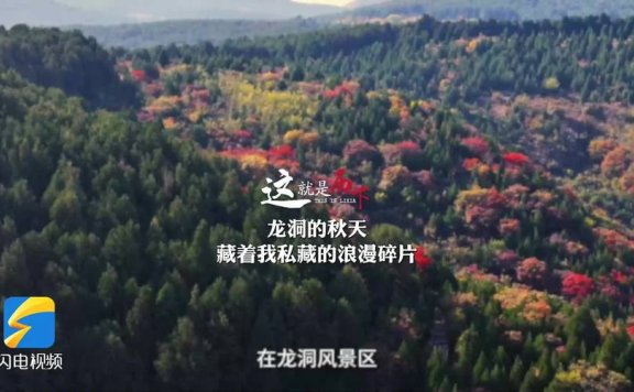 中方决定恢复旅行社经营中国公民赴加拿大团队游业务