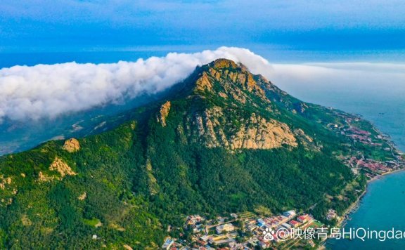 全市唯一！灵山岛保护区案例入选全省典型