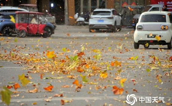 河南今明天将迎大风降温沙尘 中西部阵风可达9到10级