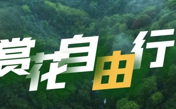 金山田野百花节进行时，想要自由行的小伙伴，请收下这份攻略！