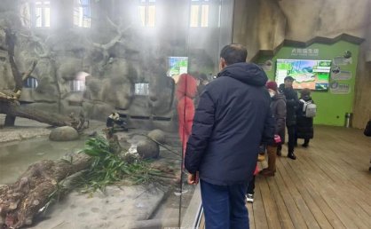 福利提前知！雪博会门票一价全含