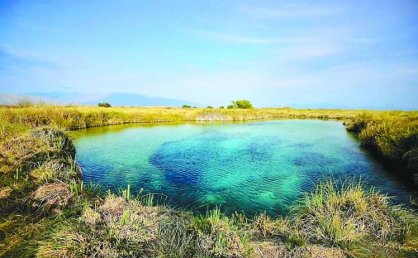 在墨西哥“最佳旅游乡村”寻找古老生命
