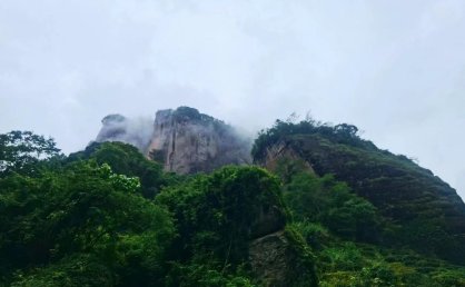 武夷岩茶香飘国事，将军令大红袍传承百年茶魂