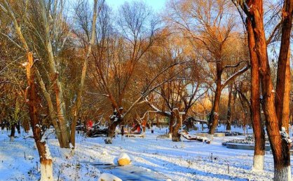 延庆迎初雪，多景点披银装成冬日胜景