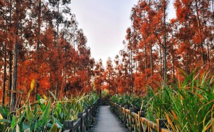 温州秋季摄影景点推荐，出片率100%