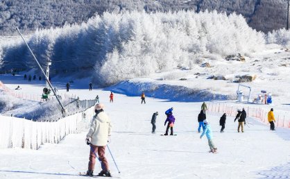 中国冰雪游火到海外！携程入境冰雪游订单翻倍增长，东南亚成最大客源地