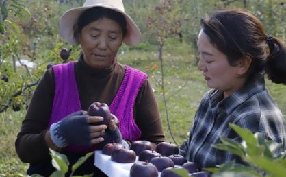 林芝姑娘次仁吉：把田间的特产送到“云端”
