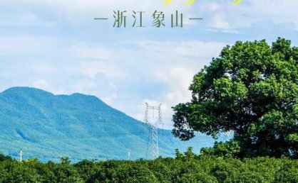 浙江元旦自驾哪些景点可以免费游玩