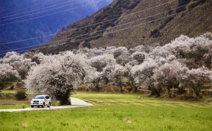 林芝市乡村旅游发展态势稳中向好